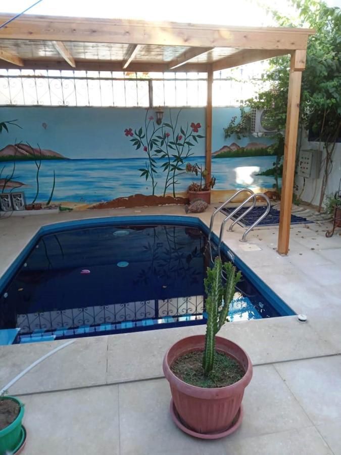 לוקסור Villa Louise Guest House מראה חיצוני תמונה