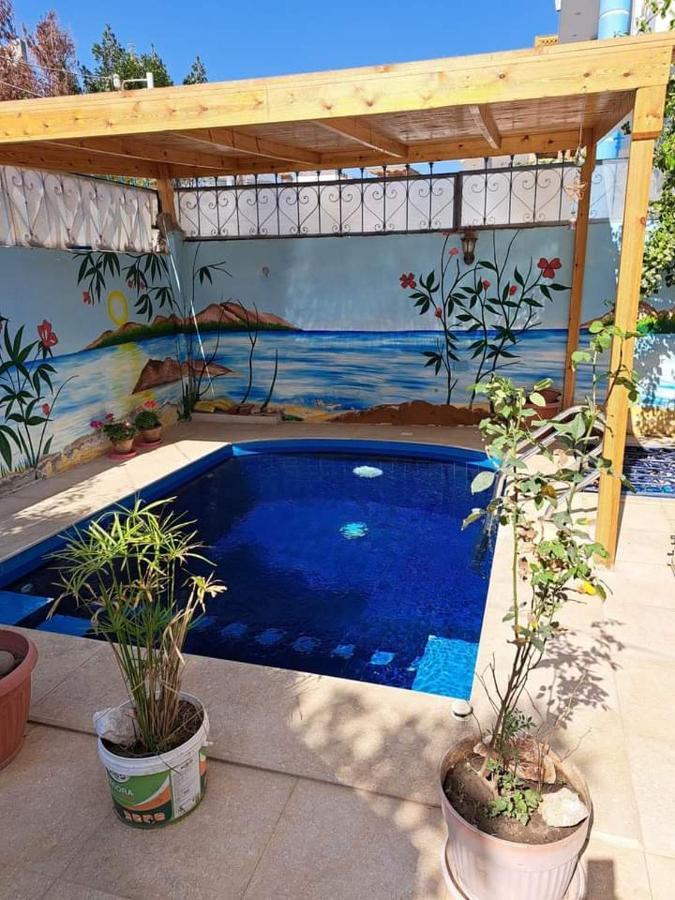 לוקסור Villa Louise Guest House מראה חיצוני תמונה